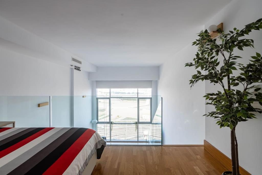 瓦伦西亚Duplex Loft Apartamento Con Parking Gratis公寓 外观 照片
